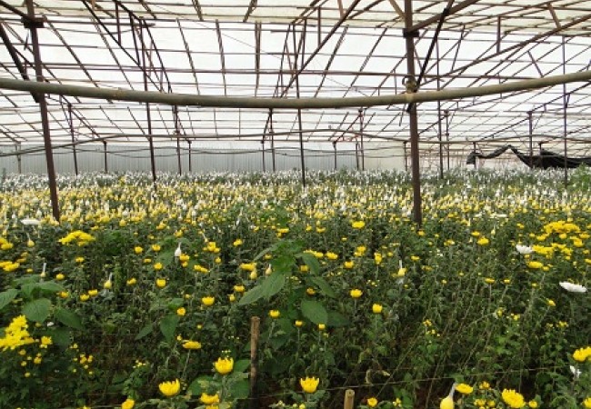 DaLat Countryside Tour 1 Day